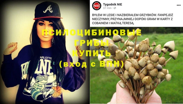 дмт Михайлов