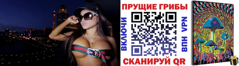 Псилоцибиновые грибы Cubensis  Динская 
